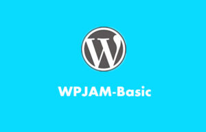 WPJAM-Basic 一款全能的 WordPress 优化工具