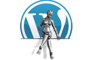 WordPress插件：两款实现WordPress自定义头像插件