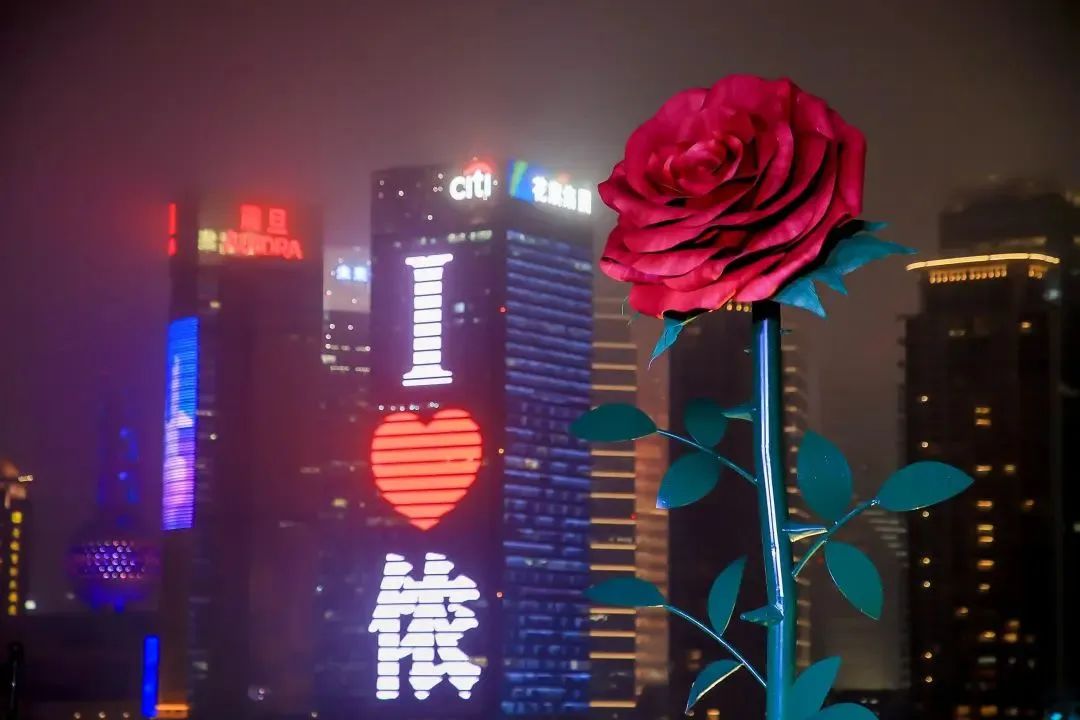 刷屏小红书的「上海玫瑰」，给门店体验营销带来这三点启示